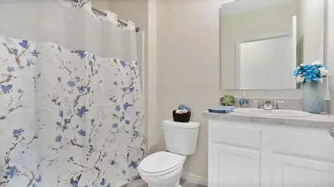 3047 Tansy Street Tavares FL 32778