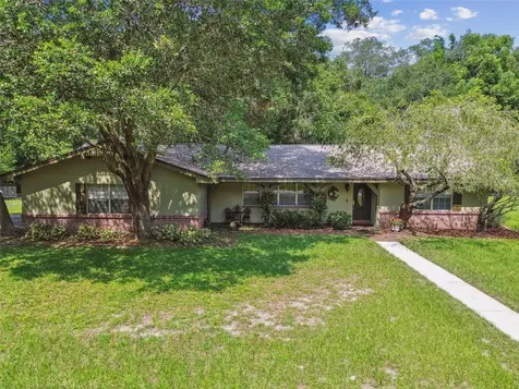 16406 Shagbark Place Tampa FL 33618