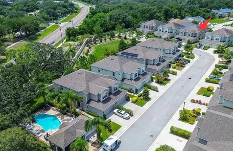 509 Harbor Springs Drive Palm Harbor FL 34683