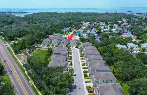 509 Harbor Springs Drive Palm Harbor FL 34683