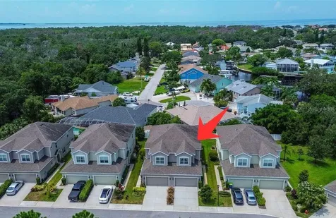 509 Harbor Springs Drive Palm Harbor FL 34683