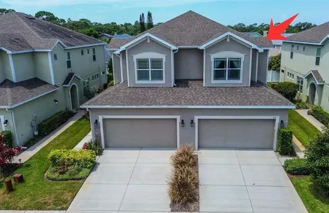 509 Harbor Springs Drive Palm Harbor FL 34683