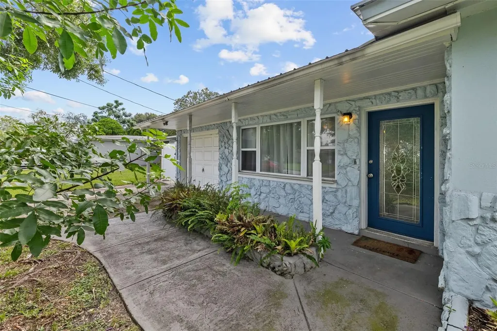 10224 N Valle Drive Tampa FL 33612
