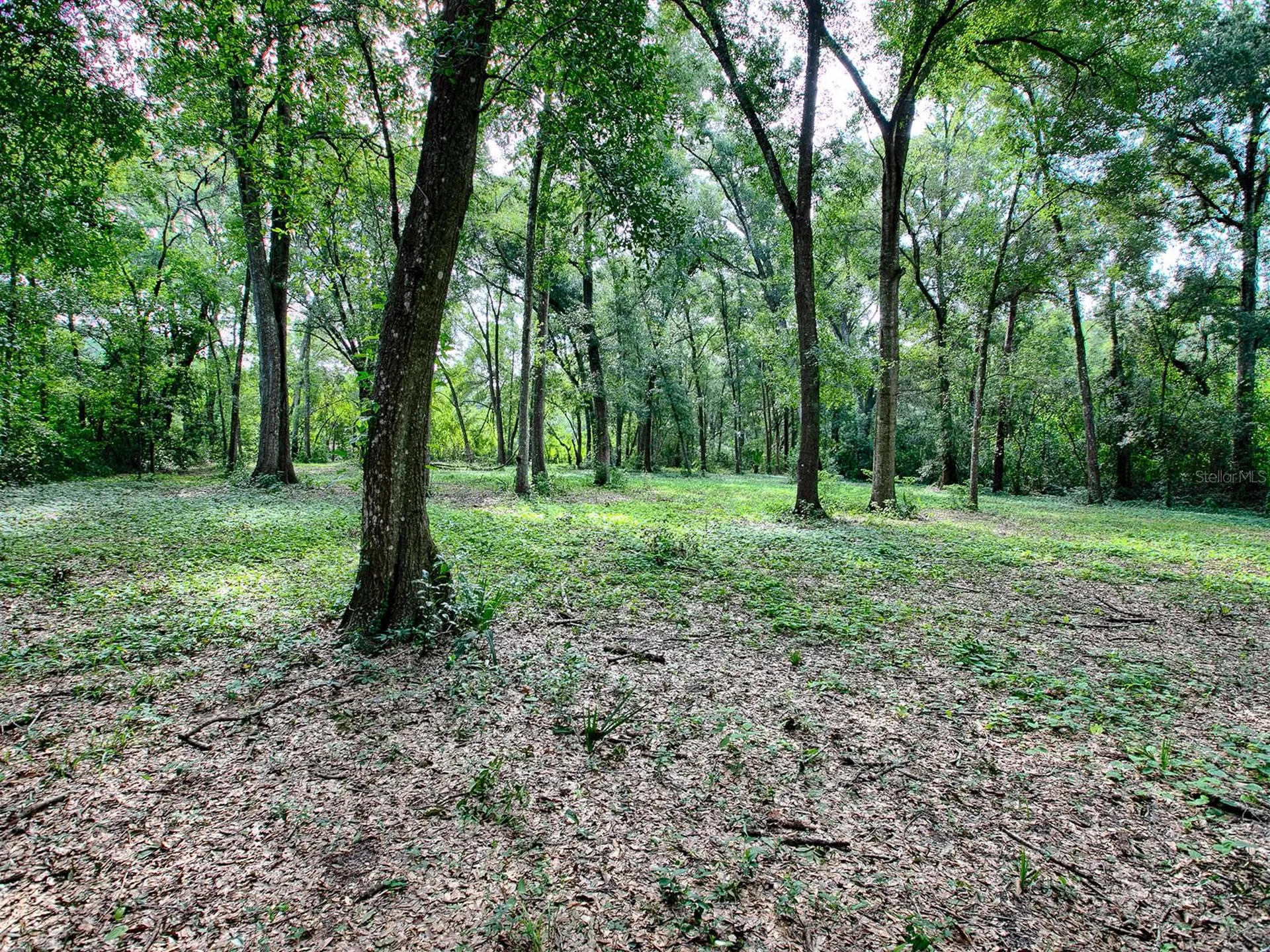 4905 Plymouth Sorrento Road Apopka FL 32712