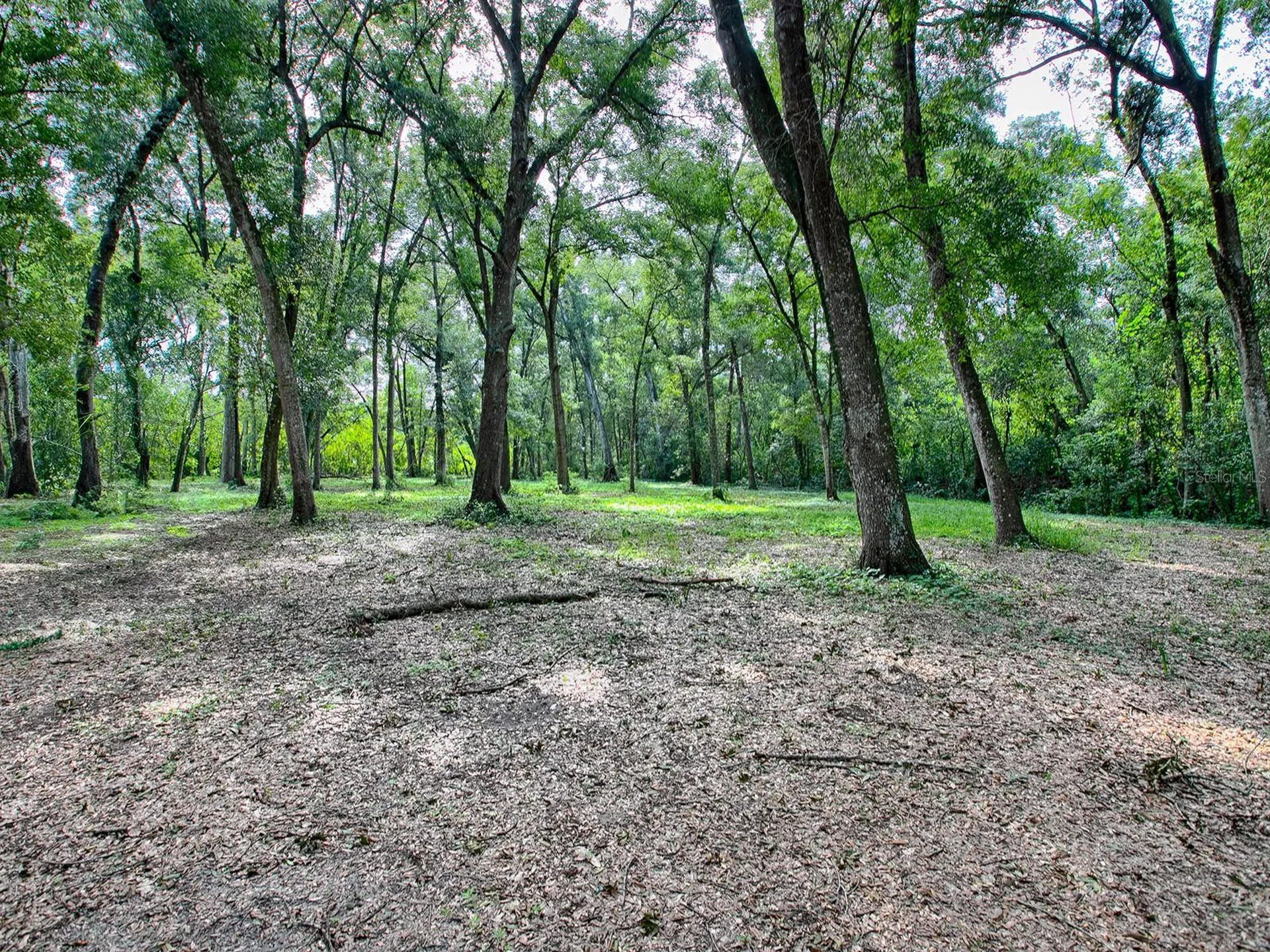 4905 Plymouth Sorrento Road Apopka FL 32712