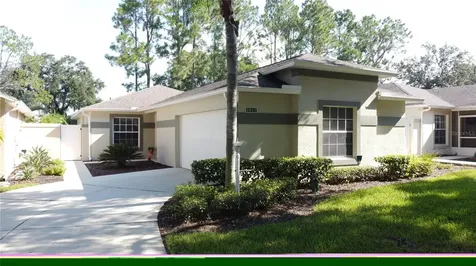 2017 Braxton Street Clermont FL 34711