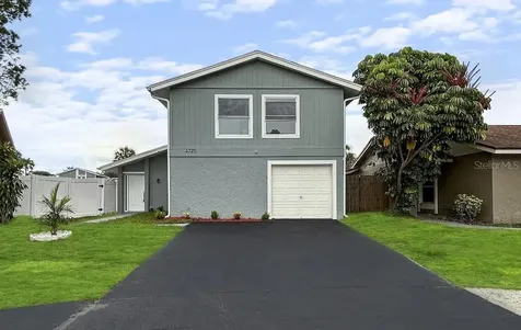 4725 Millpond Lane Tampa FL 33624