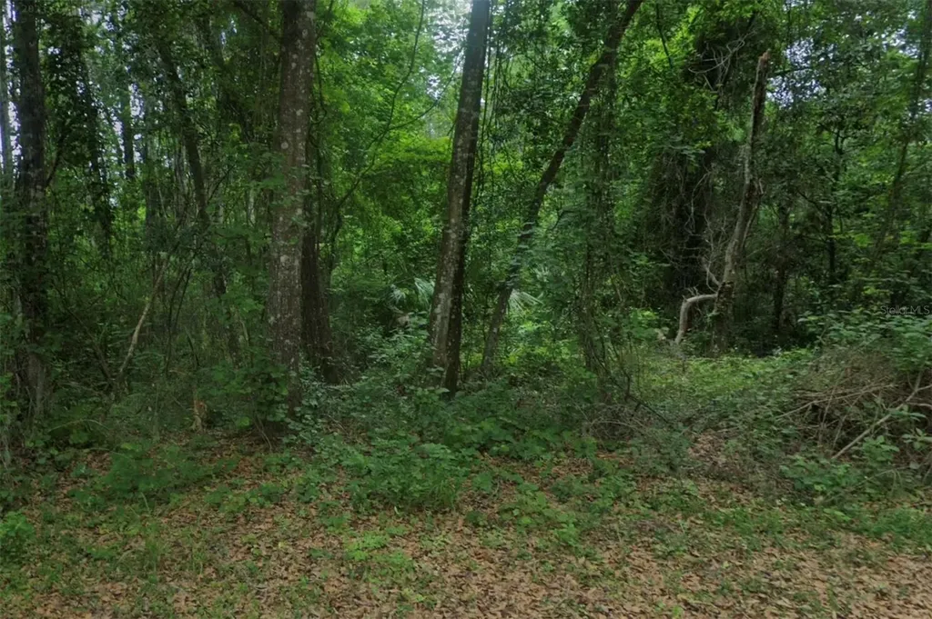 102 Ridgeline Avenue Satsuma FL 32189