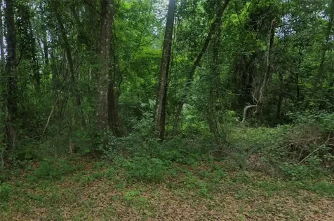 102 Ridgeline Avenue Satsuma FL 32189