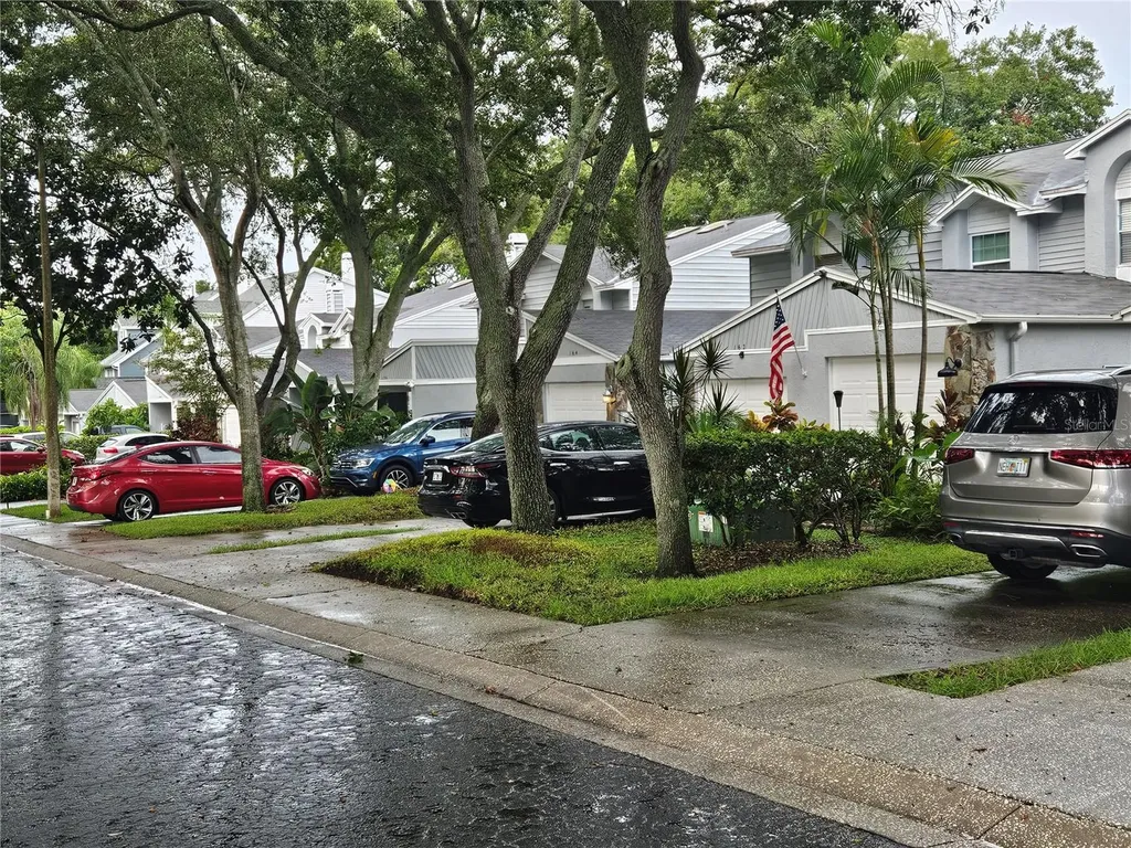 154 St Ives Drive Palm Harbor FL 34684