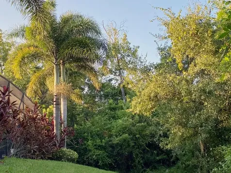 8013 Bowery Drive Winter Garden FL 34787