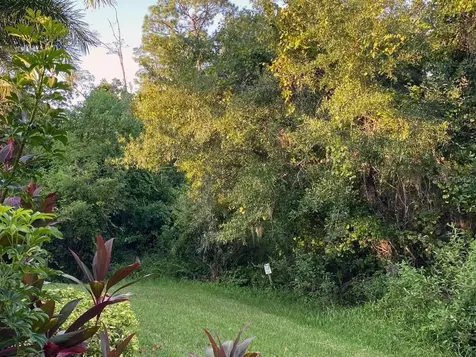 8013 Bowery Drive Winter Garden FL 34787
