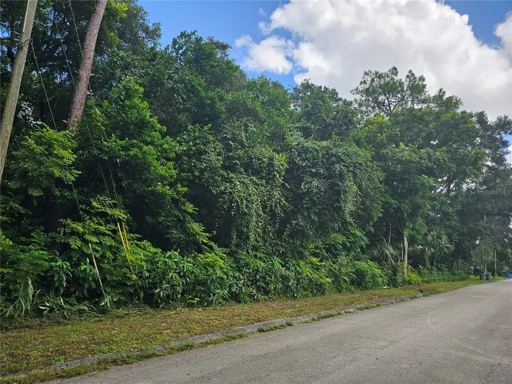 N Carpenter Avenue Orange City FL 32763