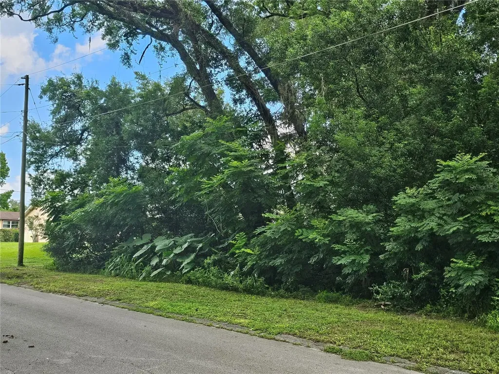 N Carpenter Avenue Orange City FL 32763