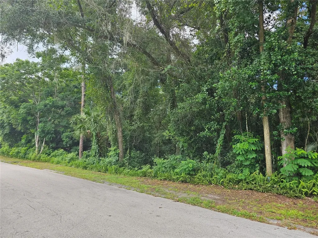 N Carpenter Avenue Orange City FL 32763