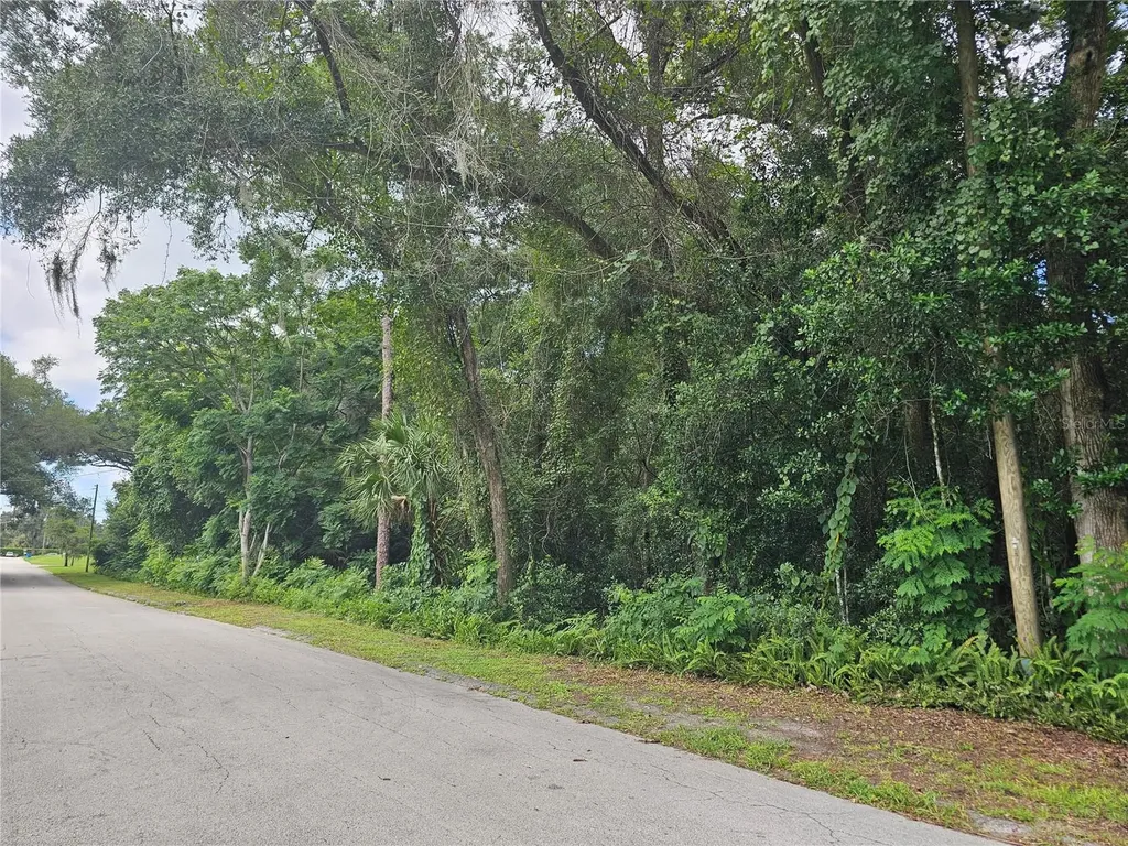 N Carpenter Avenue Orange City FL 32763