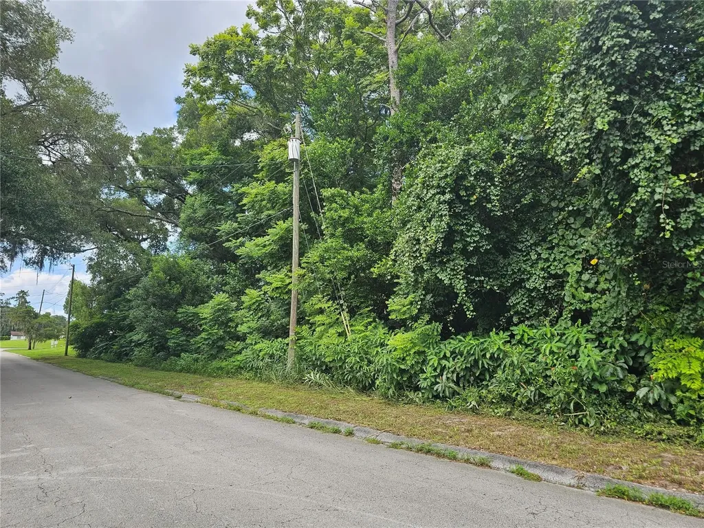 N Carpenter Avenue Orange City FL 32763