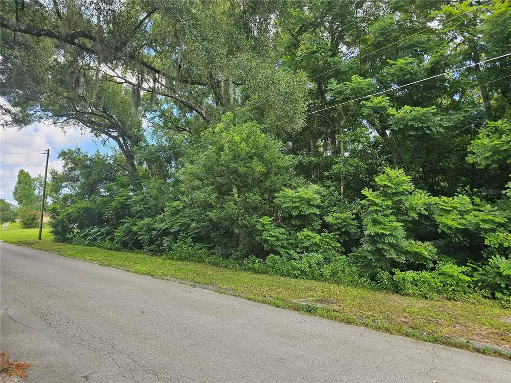 N Carpenter Avenue Orange City FL 32763