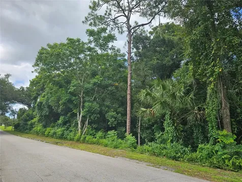 N Carpenter Avenue Orange City FL 32763