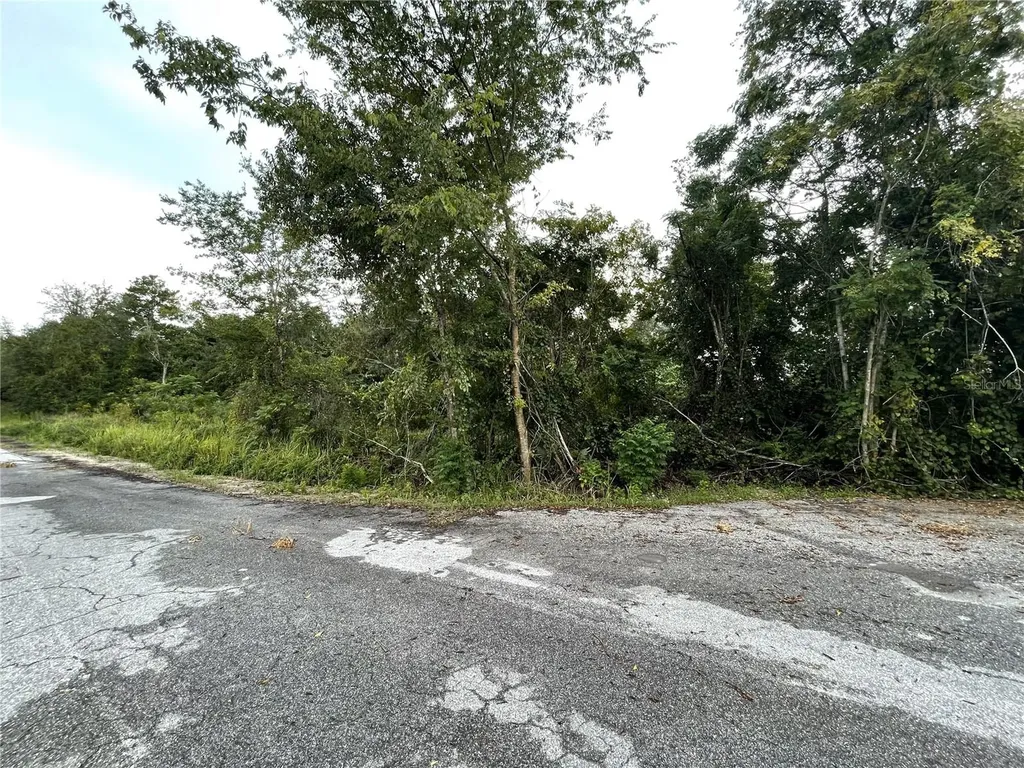 Tbd Hickory Track Drive Ocala FL 34472