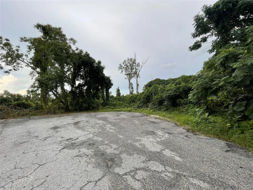 Tbd Hickory Track Drive Ocala FL 34472