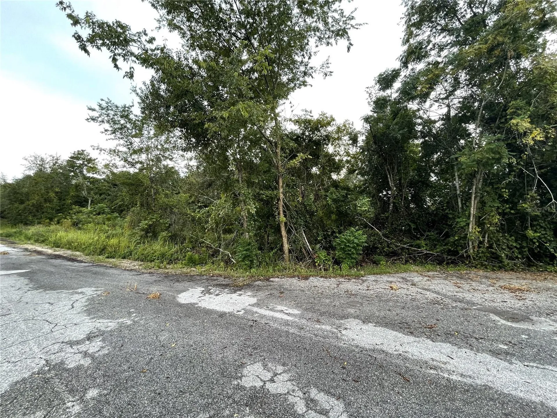Tbd Hickory Track Drive Ocala FL 34472