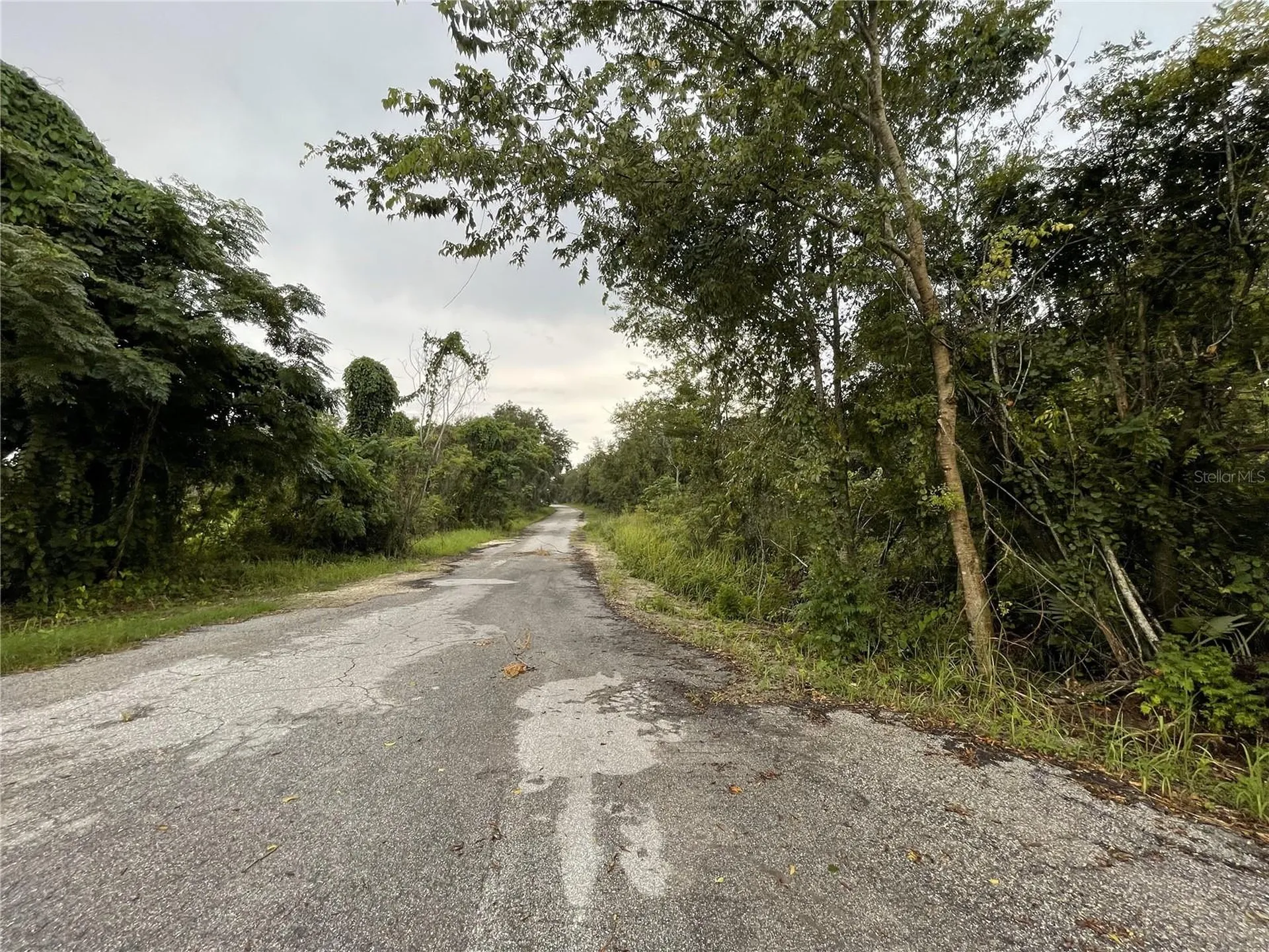 Tbd Hickory Track Drive Ocala FL 34472