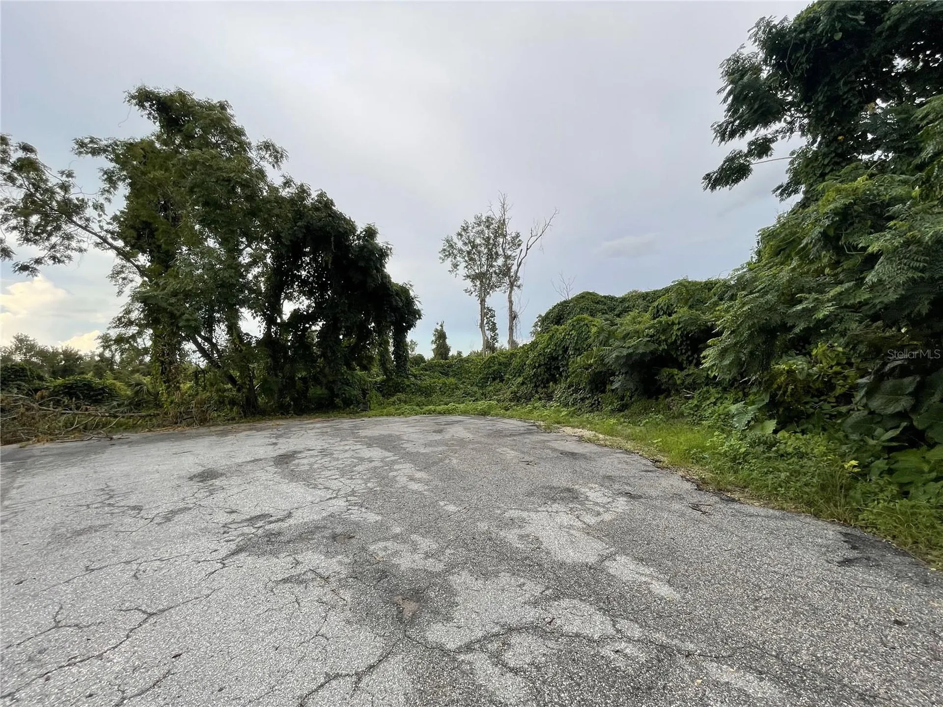 Tbd Hickory Track Drive Ocala FL 34472