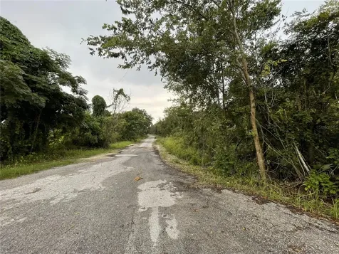 Tbd Hickory Track Drive Ocala FL 34472