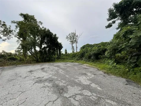 Tbd Hickory Track Drive Ocala FL 34472