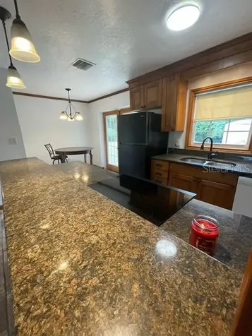 4120 Poinsettia Avenue Mount Dora FL 32757