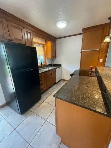 4120 Poinsettia Avenue Mount Dora FL 32757
