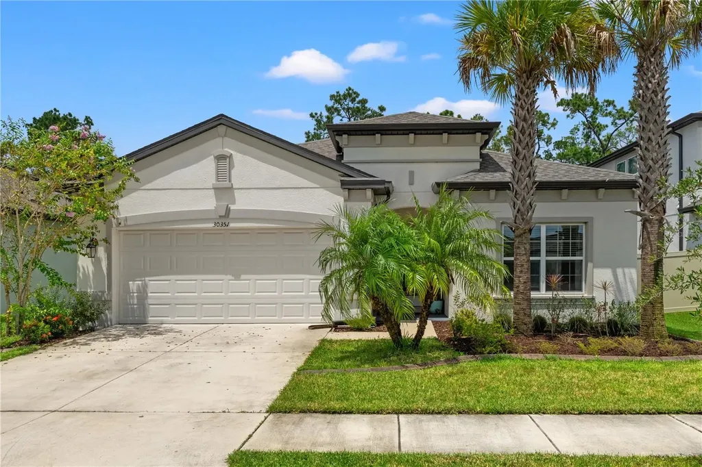 30351 Marquette Avenue Wesley Chapel FL 33545