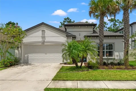 30351 Marquette Avenue Wesley Chapel FL 33545