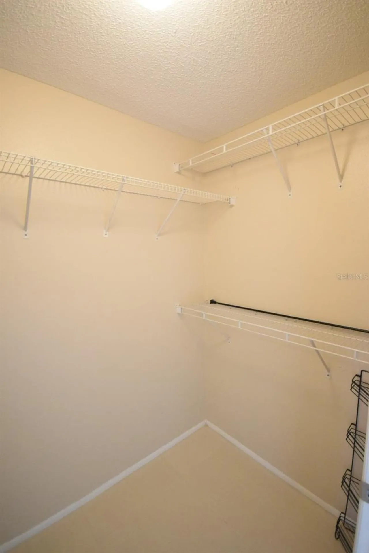 9481 Highland Oak Drive Tampa FL 33647