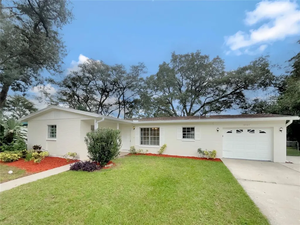 10905 N 21st Street Tampa FL 33612