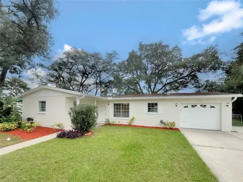 10905 N 21st Street Tampa FL 33612