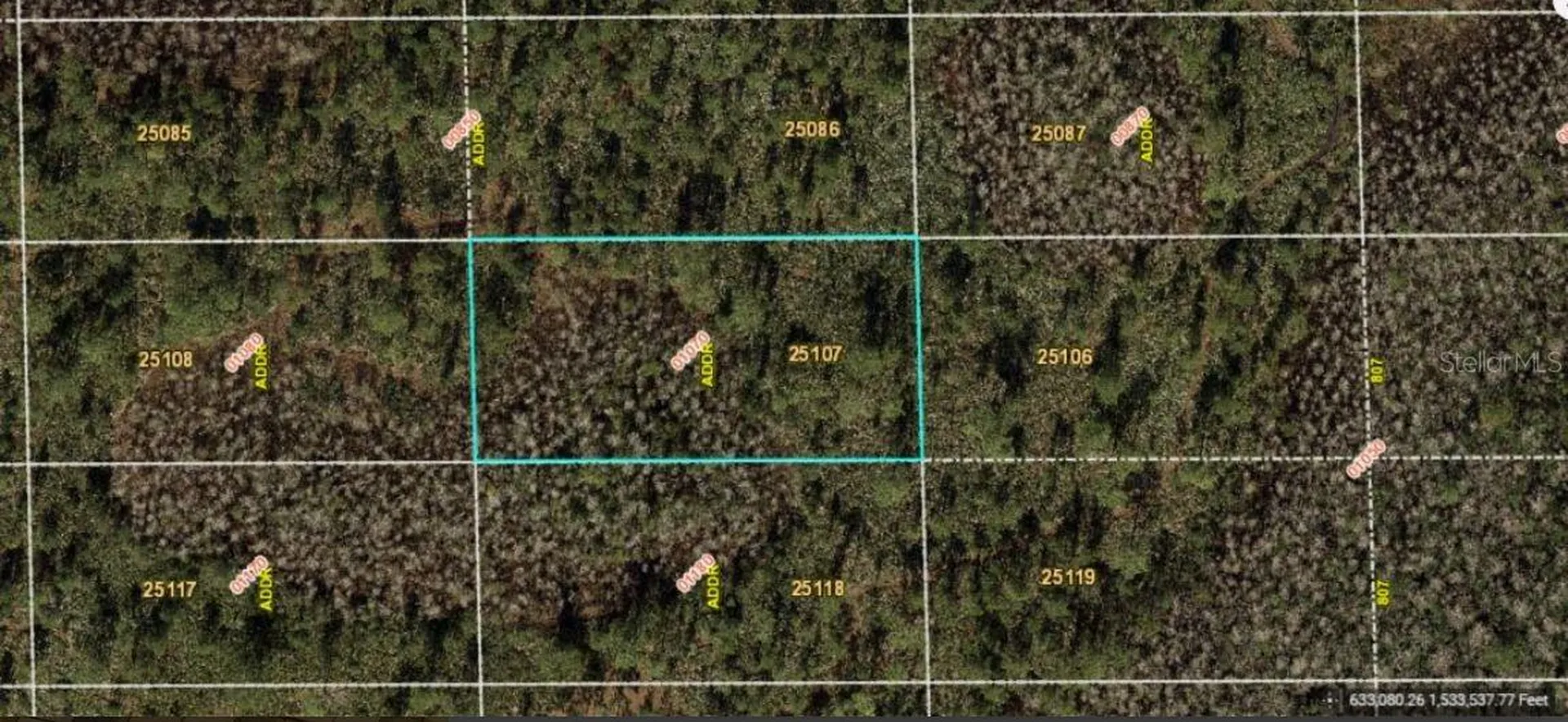 Dill Road Orlando FL 32820