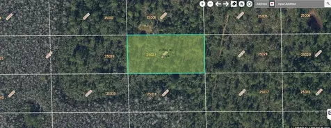 Dill Road Orlando FL 32820