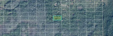 Dill Road Orlando FL 32820