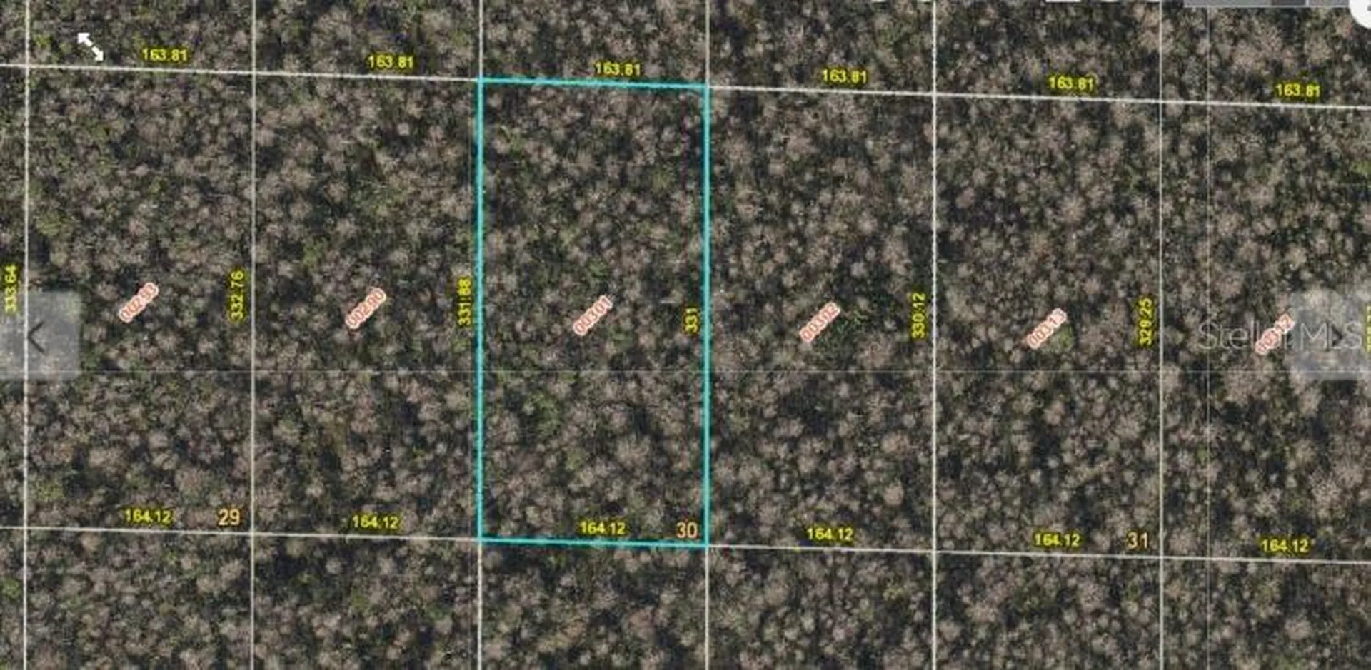 International Drive S Orlando FL 32821