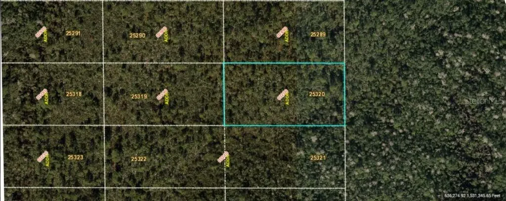 Dill Road Orlando FL 32820