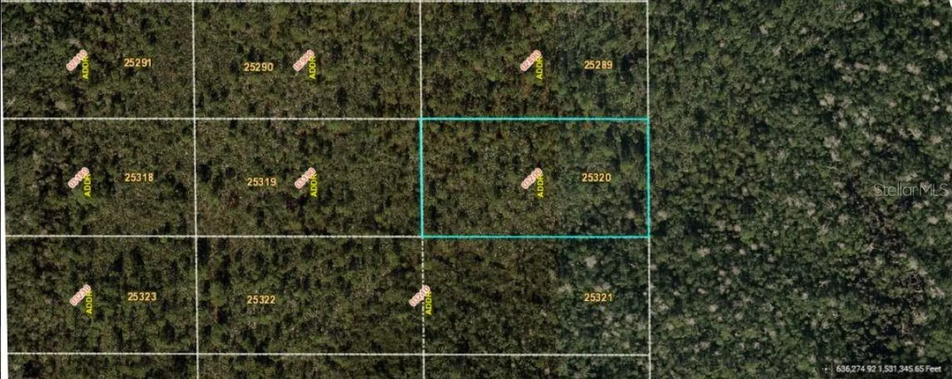 Dill Road Orlando FL 32820