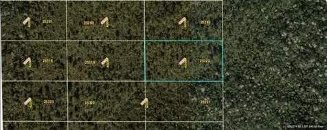 Dill Road Orlando FL 32820