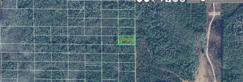 Dill Road Orlando FL 32820