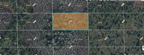 Dill Road Orlando FL 32820