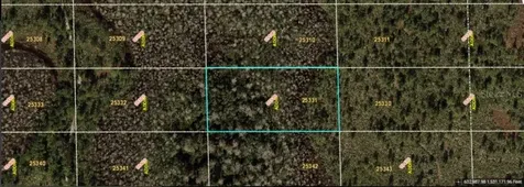 Dill Road Orlando FL 32820