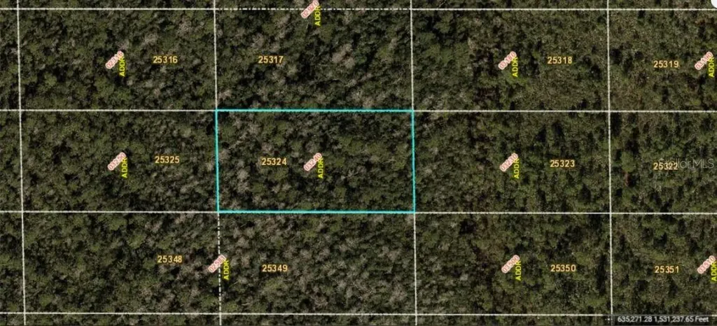 Dill Road Orlando FL 32820