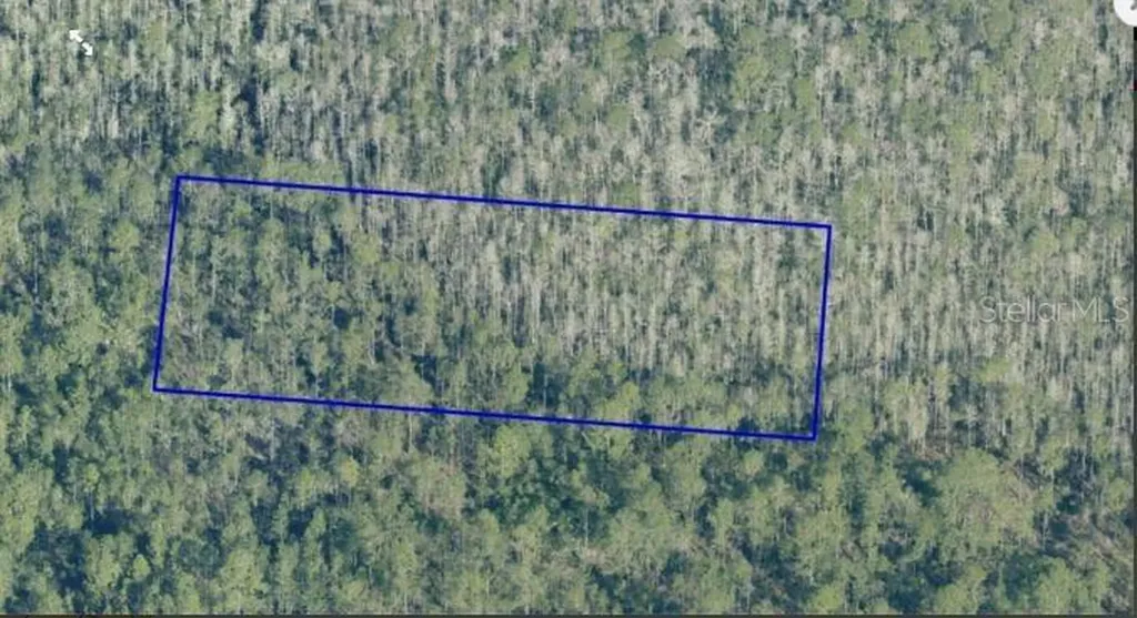 Dill Road Orlando FL 32820