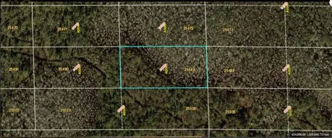 Dill Road Orlando FL 32820